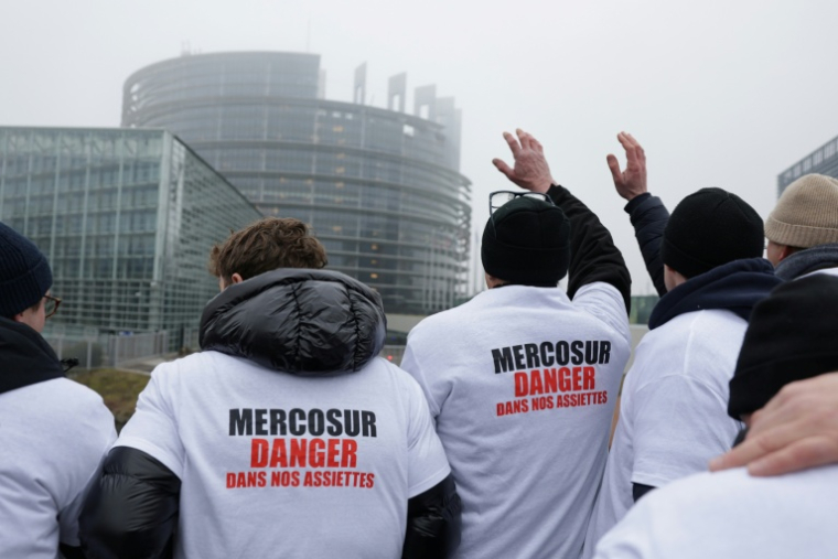 Manifestation contre l'accord sur le Mercosur devant le Parlement européen à Strasbourg, le 21 janvier 2026 ( AFP / Romeo BOETZLE )