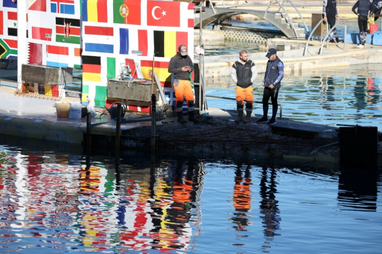 Des employés réparent les fissures dans le bassin des orques au Marineland d'Antibes, le 27 novembre 2025 ( AFP / Valery HACHE )