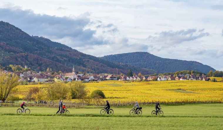 Des aides élargies pour l'achat d'un vélo - iStock-oksanaphoto