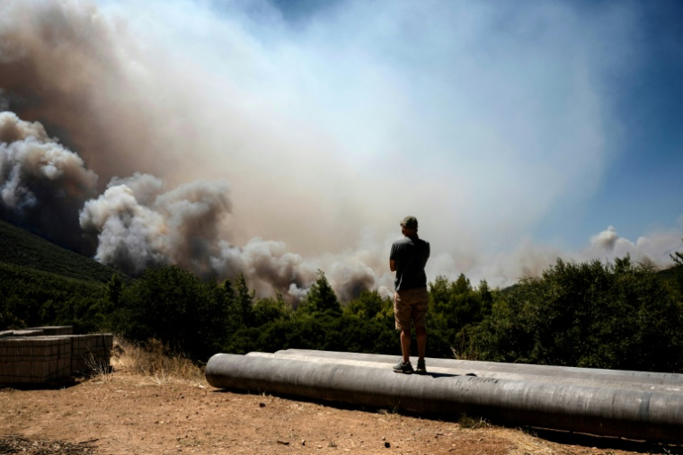 Un homme regarde un incendie de forêt en progression dans la région de Porto Germeno, en Grèce, le 1er août 2026 ( AFP / Angelos TZORTZINIS )