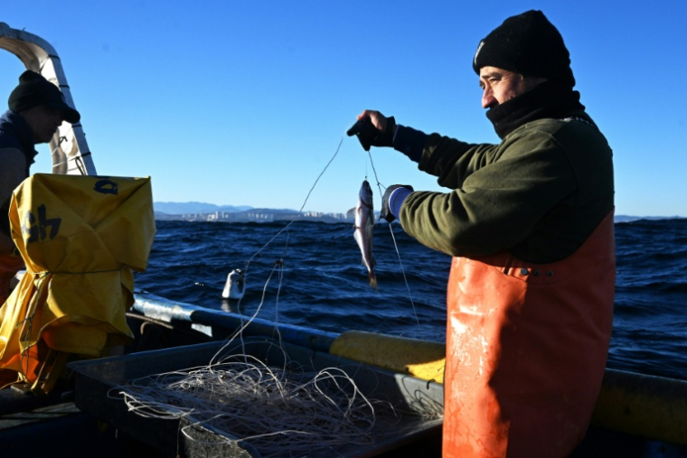 Le pêcheur artisanal Rodrigo Gallardo montre un merlu pêché au large de Caleta Portales, à Valparaiso, au Chili, le 27 mai 2025 ( AFP / RODRIGO ARANGUA )