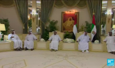 Présidence d'Interpol : le général émirati Al-Raisi, accusé de torture, a été élu