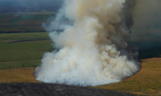 Vue aérienne de feu de forêt à Arès, près du bassin d'Arcachon (Gironde), le 28 juillet 2026. ( POOL / Baz Ratner )