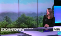 Record de CO2 et forêts tropicales à bout de souffle : la planète suffoque