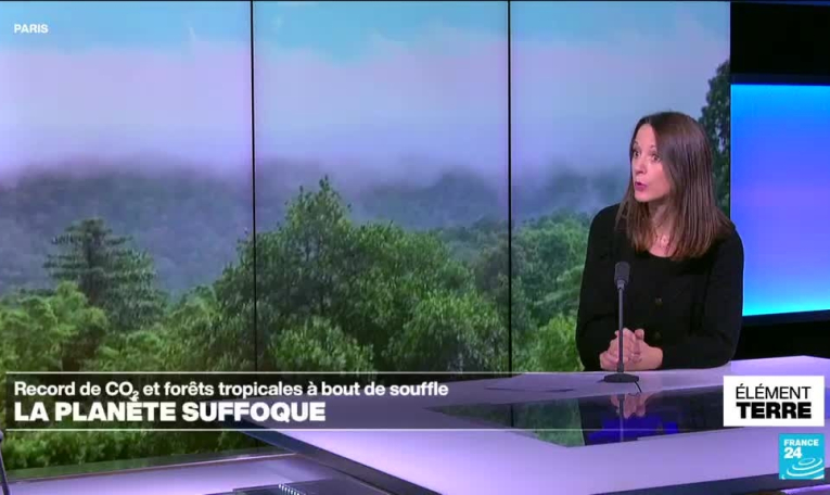 Record de CO2 et forêts tropicales à bout de souffle : la planète suffoque