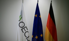 Les drapeaux de l'OCDE, de l'UE et de l'Allemagne, le 12 juin 2025, à Berlin ( AFP / Tobias SCHWARZ )