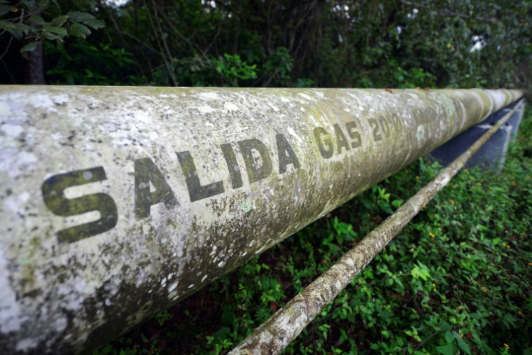 Un gazoduc de l'entreprise publique mexicaine Pemex sur la commune d'Emiliano Zapata, dans l'État de Veracruz, le 11 avril 2026 ( AFP / Marco Antonio MARTINEZ )
