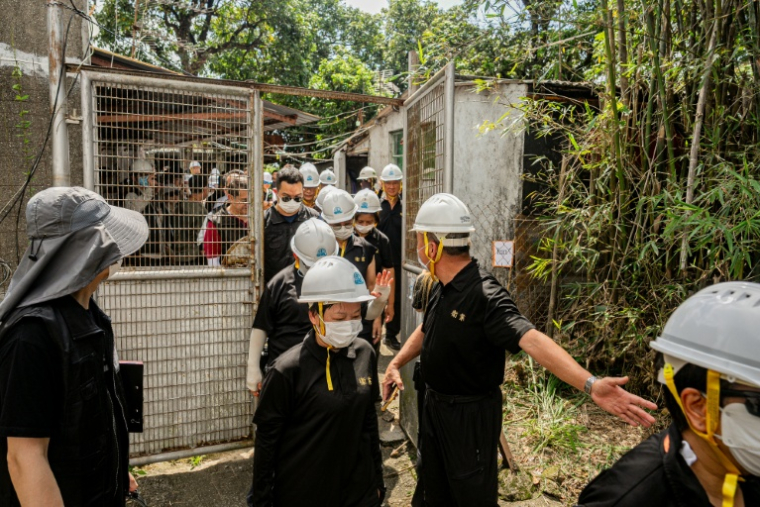 Des agents du service des Terres de Hong Kong accompagnés par des policiers pénètrent dans la propriété d'un habitant de Kwu Tung, dont le village doit être démoli pour faire place à un projet de pôle technologique, le 23 juin 2026 dans les Nouveaux Territoires à Hong Kong ( AFP / Leung Man Hei )