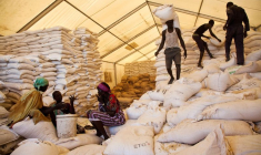 SOUDAN: UN TIERS DE LA POPULATION CONFRONTÉ À UNE INSÉCURITÉ ALIMENTAIRE AIGUË