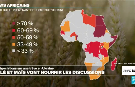 Trêve en Ukraine : l'accord céréalier va nourrir les discussions à Riyad