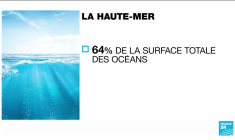 One Ocean Summit : qu'est-ce que la haute mer ?