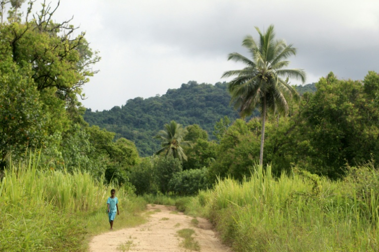Un garçon sur un chemin le 1er février 2026 dans la zone protégée de Vatthe, sur l'île d'Espiritu Santo, au Vanuatu ( AFP / Chris McCALL )