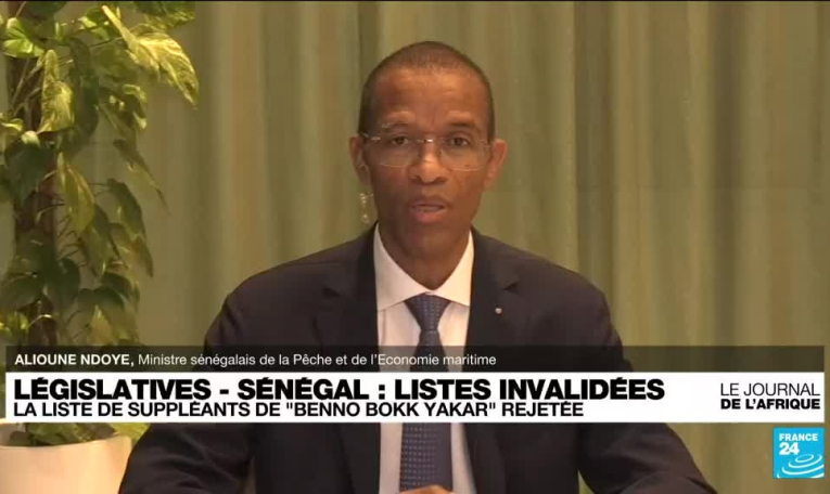 Législatives au Sénégal : le ministre de la Pêche et de l'Economie maritime sur France 24