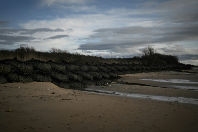 Des filets de pierre sont installés contre un cordon dunaire dans le cadre des travaux de consolidation en cours sur l'île d'Oléron pour protéger des bassins d'infiltration face à l'érosion côtière, le 28 janvier 2026 à Le-Grand-Village-Plage, en Charente-Maritime ( AFP / Philippe LOPEZ )