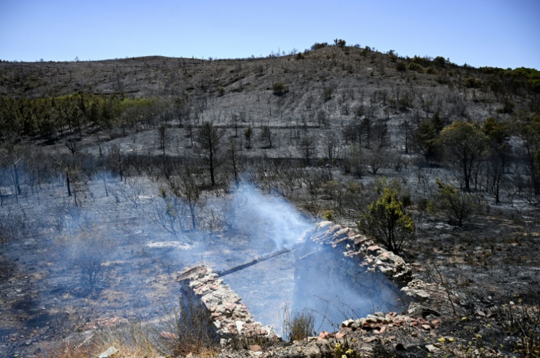 Un paysage brûlé après un incendie de forêt près de Trévillach, le 5 juillet 2026 ( AFP / Matthieu RONDEL )