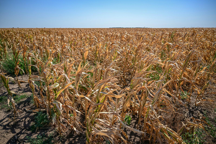 ( AFP / DANIEL MIHAILESCU )