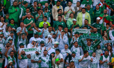 Finale de Copa Libertadores : un supporter de Palmeiras est mort
