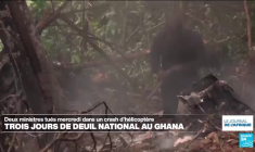 Alger : fin de gratuité des biens prêtés