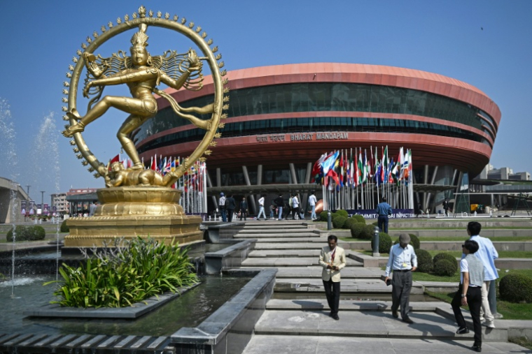 Les visiteurs arrivent pour assister au sommet mondial sur l'intelligence artificielle au Bharat Mandapam à New Delhi, le 17 février 2026 ( AFP / Arun SANKAR )