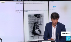 Une copie de masque traditionnel restituée à la RDC? Gare à l'infox !