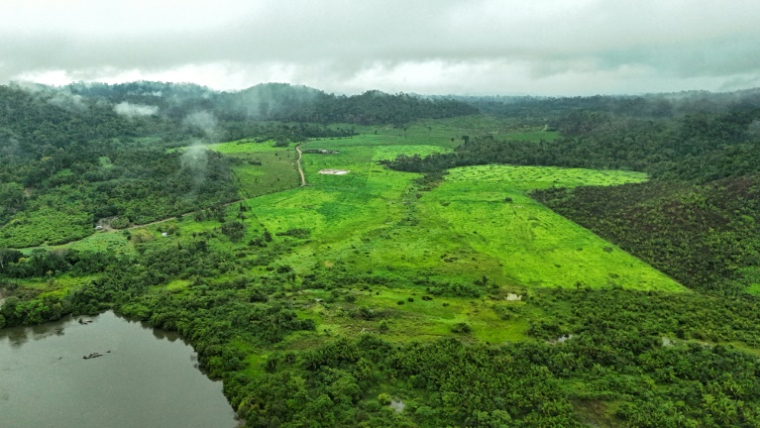 Vue aérienne d'une zone dégradée de la forêt amazonienne, près de la terre indigène Koatinemo, dans l'Etat de Para, au Brésil, le 12 juin 2025 ( AFP / Carlos FABAL )