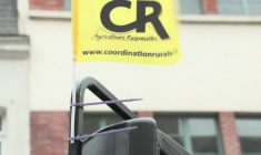 Dermatose: des agriculteurs manifestent dans les rues de Boulogne-sur-Mer