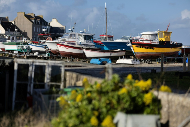 Des bateaux de pêche dans le port de l'île de Molène, dans le Finistère, le 3 février 2026  ( AFP / Fred TANNEAU )