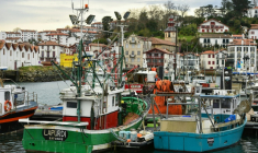 Le port de Saint-Jean-de-Luz à l'arrêt, le 22 janvier 2025, en raison de l'interdiction de presque toute la pêche commerciale (bateaux de 8 mètres ou plus) dans le golfe de Gascogne afin de protéger les dauphins ( AFP / Gaizka IROZ )