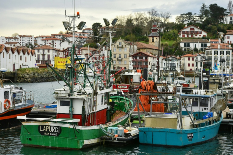 Le port de Saint-Jean-de-Luz à l'arrêt, le 22 janvier 2025, en raison de l'interdiction de presque toute la pêche commerciale (bateaux de 8 mètres ou plus) dans le golfe de Gascogne afin de protéger les dauphins ( AFP / Gaizka IROZ )