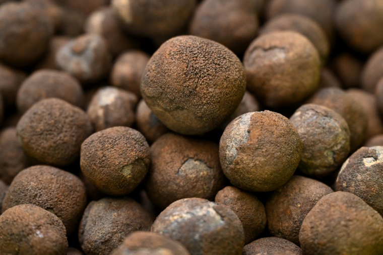 Les nodules polymétalliques sont des concrétions minérales nichées entre 4000 et 6000 mètres de fond, dont la formation prend des millions d'années (illustration) ( AFP / WILLIAM WEST )