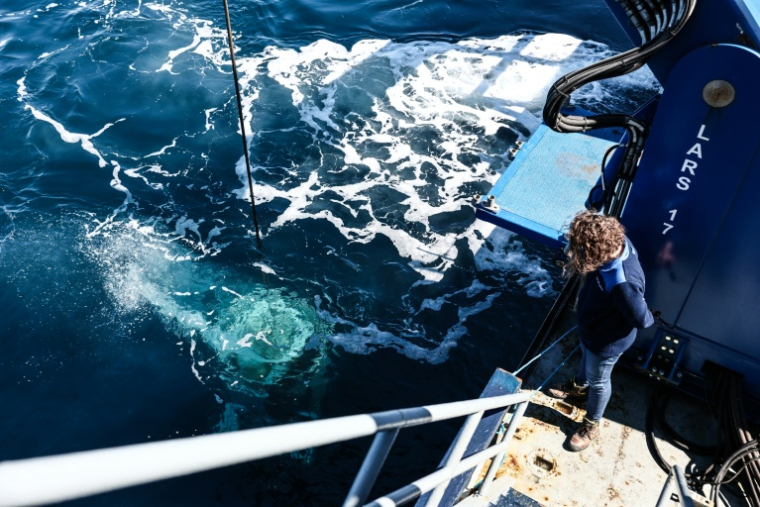 Marine Sadania, archéologue sous-marine, observe le ROV C 4000 lors de sa mise à l'eau pour une mission archéologique sur l'épave du Camara 4 au large de Ramatuelle, dans le Var, le 7 avril 2026 ( AFP / Thibaud MORITZ )