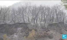 Incendies en Algérie : au moins 42 personnes tuées, des feux d'origine criminelle