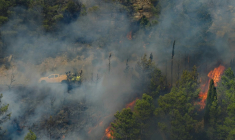 IUn véhicule de défense des forêts contre les incendies (DFCI) de l'Office national des forêts (ONF)sur le site d'un incendie dans le massif des Corbières à Ribaute, le 5 août 2026 dans l'Aude ( AFP / Idriss Bigou-Gilles )
