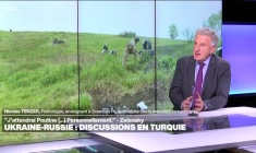 Nicolas Tenzer : "Les Ukrainiens ne veulent pas la paix à n'importe quelle condition"
