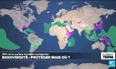 COP16: Préserver 30% des terres et des mers mais où?
