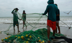 Des pêcheurs manipulent des filets à Santa Elena, en Equateur, le 18 septembre 2026  ( AFP / Gerardo MENOSCAL )