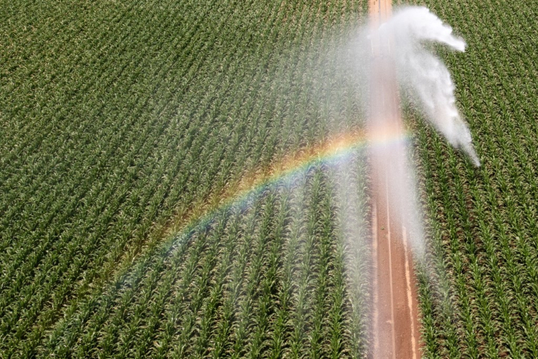 ( AFP / SEBASTIEN BOZON )
