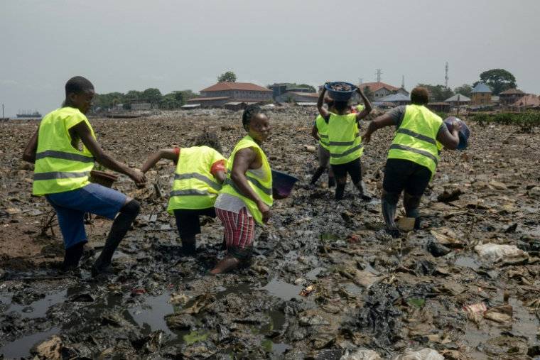 Des habitants de Kolleh Town membres de l'association Nature for Mangroves, en collaboration avec Plan International, peinent à traverser le marais pollué de White Man's Bay, à Freetown, le 11 avril 2026, en Sierra Leone ( AFP / Gemma Bonfiglioli )