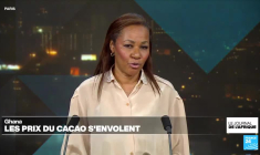 Élections générales en Afrique du Sud : un scrutin décisif