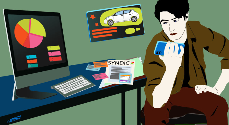 Le patrimoine d'un abonné au Revenu. (© Artelette)