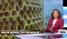 Des trésors dans nos coquilles d'œufs