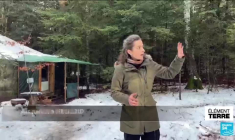 Qu'il vente ou qu'il pleuve, des enfants de 4 à 8 ans ont école dans la forêt