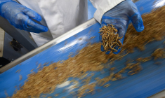 ( AFP / SEBASTIEN BOZON )