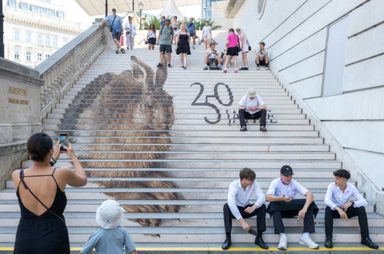 Des visiteurs devant l'entrée du musée Albertina à Vienne, le 30 juin 2026 en Autriche ( AFP / Joe KLAMAR )
