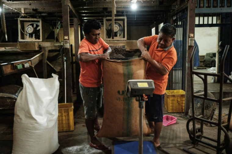 Des employés pèsent un sac de clous de girofle après l'avoir tamisé et débarrassé de ses impuretés dans un entrepôt sur l'île de Ternate, le 11 avril 2025 en Indonésie ( AFP / Yasuyoshi CHIBA )