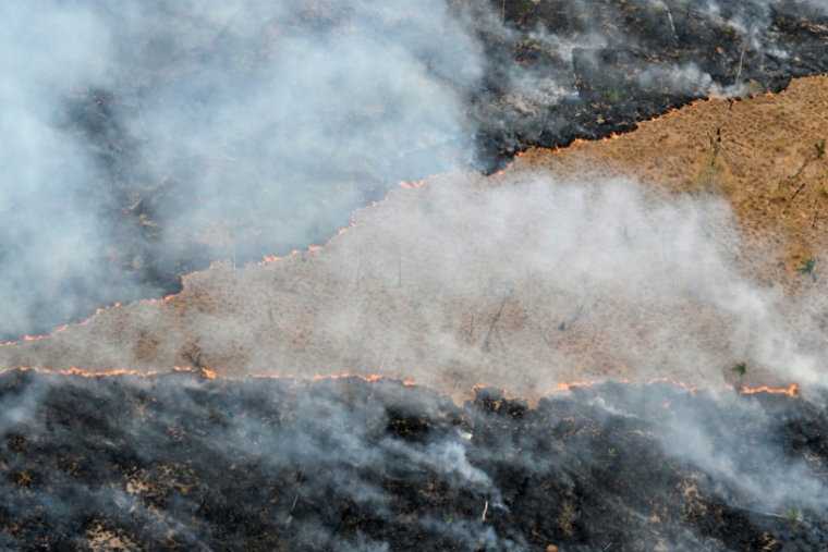 Vue aérienne d'incendies illégaux à Labrea, en Amazonie, dans le nord-ouest du Brésil, le 20 août 2024 ( AFP / EVARISTO SA )