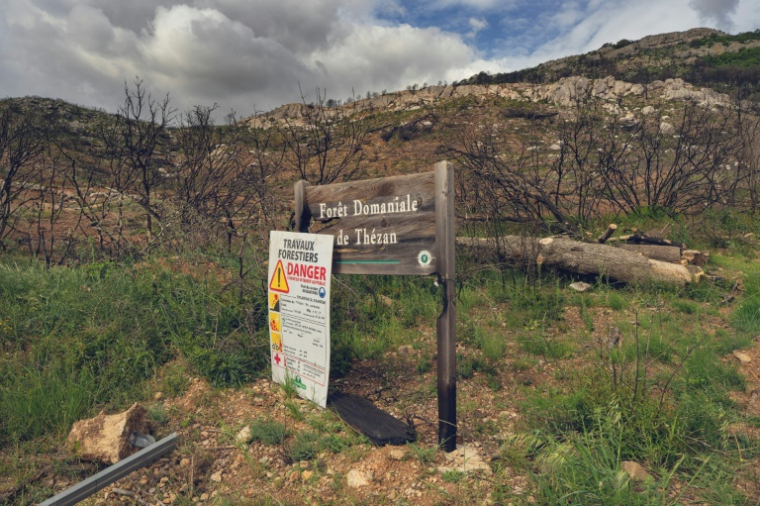 Un panneau indiquant la forêt domaniale de Thézan, ravagée par un incendie en 2025, à Thézan-des-Corbières, le 13 mai 2026 dans l'Aude ( AFP / Idriss Bigou-Gilles )
