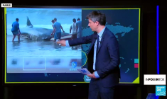 Requin échoué aux Etats-unis: infox, intelligence artificielle et business