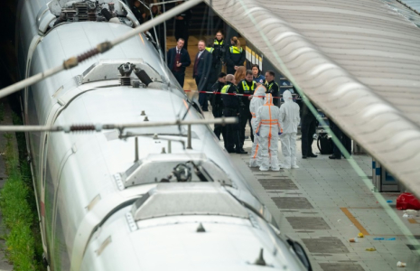 Des membres de la police scientifique et des policiers sur un quai de la gare centrale de Hambourg, où 18 personnes ont été blessées lors d'une attaque au couteau, le 23 mai 2025 en Allemagne ( AFP / Jonas Walzberg )