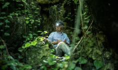Takamatsu Gushiken, qui recherche bénévolement des restes humains, oubliés depuis la Seconde Guerre mondiale, arpente une forêt à Itoman, dans la préfecture d'Okinawa, le 11 juin 2025 au Japon ( AFP / Philip FONG )